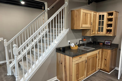 Example of a transitional basement design in Other
