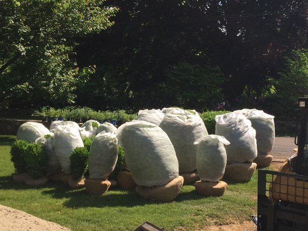 Классический Сад by Fairfield County Groundskeeping LLC