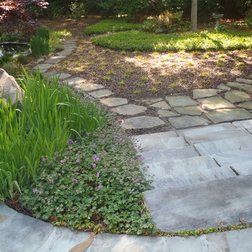 Garden Vignettes