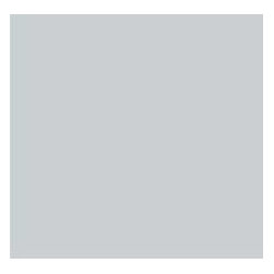 Northstar SW6246 - Paint