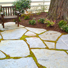 Patio Ideas