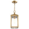 Livex Lighting Nyack 1 Light Antique Brass Small Outdoor Pendant Lantern