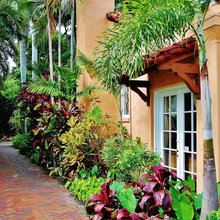 Outside Tropical
