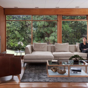 Human Living Room