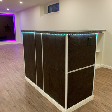 Modern basement finishing