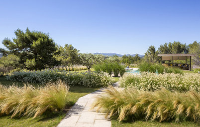 Avant/Après : Un jardin provençal gagne près de 500 m²