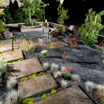 Contemporary Asian Front Yard