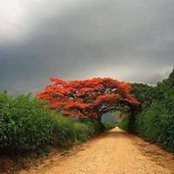Dora Rc's photo