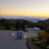 Barbara Ann's photo