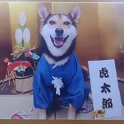 Asako Murakamiさんの写真