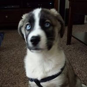 Lori Paxson Razo's photo