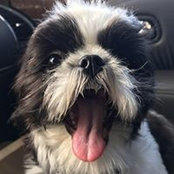 Maureen Kelley Hefelfinger's photo