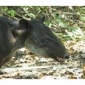 Pat Tydde's photo