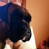 Chicca Caruso's photo