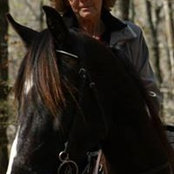 Debbie O'Brien's photo