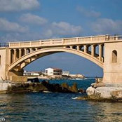 Raul Shereif's photo