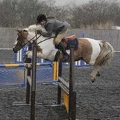Katie Holroyd's photo