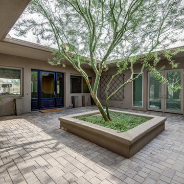 Desert Transitional