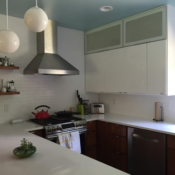 Midcentury modern kitchen remodel