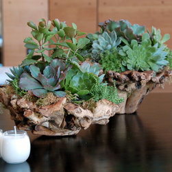 Succulent arrangements - Indoor Pots And Planters