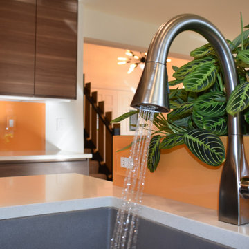 Modern Greenwood Village Main Floor Make Over