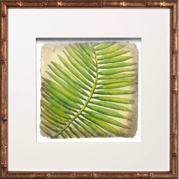 Succulent #3 in Golden Bamboo Artwork