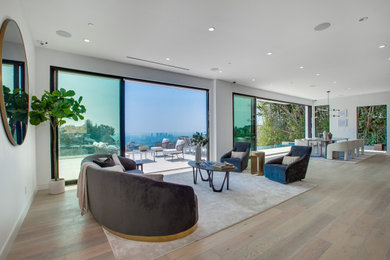 Example of a minimalist living room design in Los Angeles