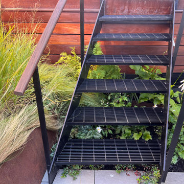 Borough Park Modern Rooftop