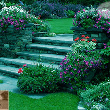 garden steps