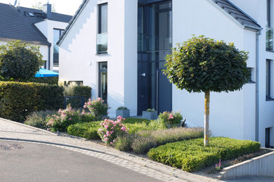 Geometrischer, Kleiner Moderner Vorgarten im Sommer mit Blumenbeet und direkter Sonneneinstrahlung in Bonn