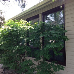 Roofing & Siding - Home Improvement