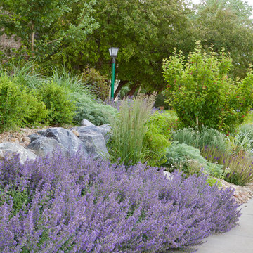 Plant Combinations