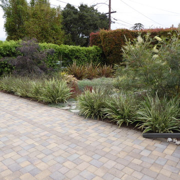 Carpinteria lawn replacement
