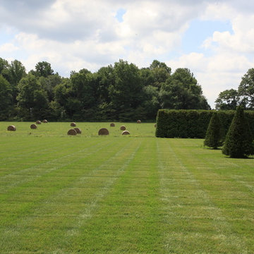 Topiary Garden and Farm Field