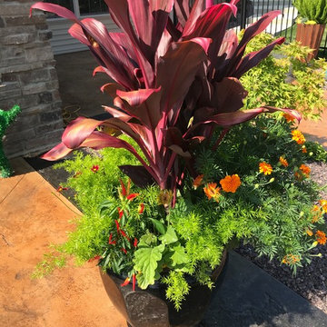 2018 Outdoor Container/Landscape Designs