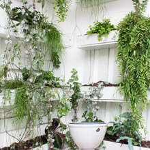 Exterior Ideas