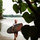 mark_langdon59