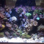 Nige Smith's photo