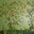 Dean's Painting