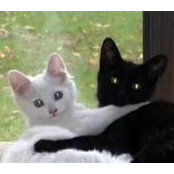 Doris Kittleさんの写真