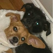 Shari Cooper's photo