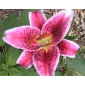 Kay Riester Bucy's photo