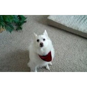 Paula Najmulski's photo