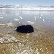 Sandra Le (San Diego)'s photo