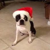 Maranda Busemeyer's photo