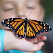 Abbie Griswold's photo