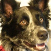 Dianne Klinski's photo