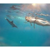 Marie Boutsen's photo