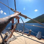 Vital Yavorski's photo