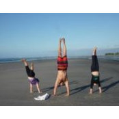 David Goldman's photo